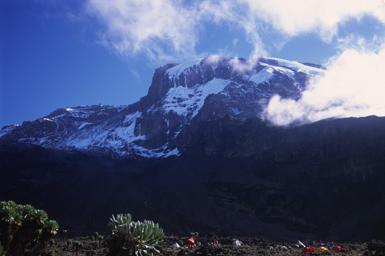 Kilimanjaro from Barranco Camp