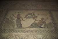 Mosaic in the House of Dionysos