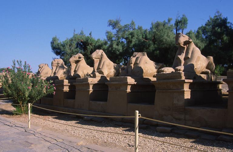 Ram-Headed Sphinxes image