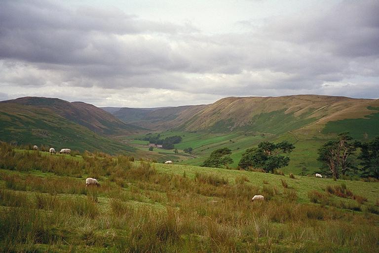 Lower Borrowdale from the Wooded Slopes