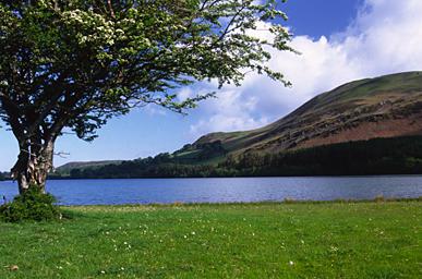 Loweswater from the Shore Path